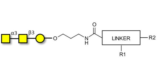 Forssman antigen triose with customizable dual functionalization 