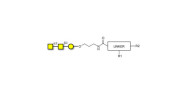 Forssman antigen triose...