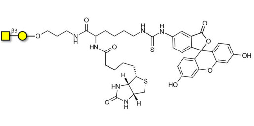 Gb4 Globoside terminal linked to biotin and fluorescein (Linker-BT-FLUO A)