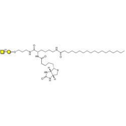 Gb4 Globoside terminal linked to biotin and stearic chain (Linker-BT-STEA A)
