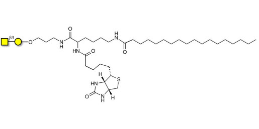 Gb4 Globoside terminal linked to biotin and stearic chain (Linker-BT-STEA A)
