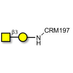 Gb4 Globoside terminal grafted on CRM197
