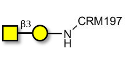 Gb4 Globoside terminal grafted on CRM197