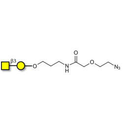 Gb4 Globoside terminal with terminal azide (Linker-N3 B)