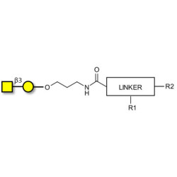 Gb4 Globoside terminal with customizable dual functionalization 