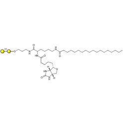 α1-4 galactobiose linked to biotin and stearic chain (Linker-BT-STEA A)