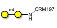α1-4 galactobiose grafted...