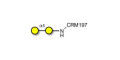 α1-4 galactobiose grafted on CRM197