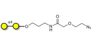 α1-4 galactobiose with...