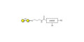 α1-4 galactobiose with customizable dual functionalization 