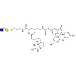 GlcNAcβ1-3Gal linked to biotin and fluorescein (Linker-BT-FLUO A)