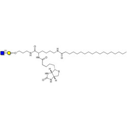 GlcNAcβ1-3Gal linked to biotin and stearic chain (Linker-BT-STEA A)
