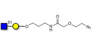 GlcNAcβ1-3Gal with terminal...
