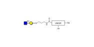 GlcNAcβ1-3Gal with...