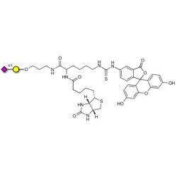 GM4 Ganglioside oligosaccharide linked to biotin and fluorescein (Linker-BT-FLUO A)