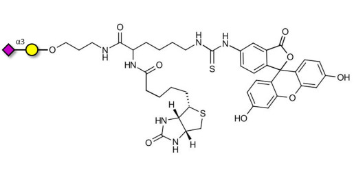 GM4 Ganglioside oligosaccharide linked to biotin and fluorescein (Linker-BT-FLUO A) - 3-Sialylgalactose