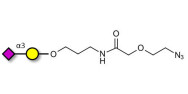 GM4 Ganglioside...