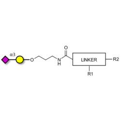 GM4 Ganglioside oligosaccharide with customizable dual functionalization 