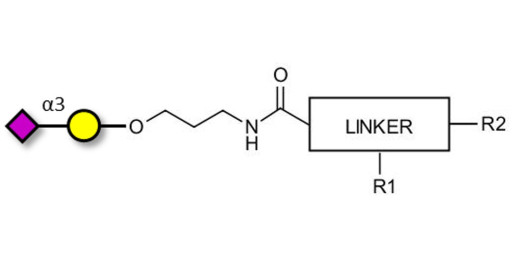 GM4 Ganglioside oligosaccharide with customizable dual functionalization  - 3-Sialylgalactose