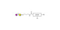 GM4 Ganglioside oligosaccharide with customizable dual functionalization  - 3-Sialylgalactose