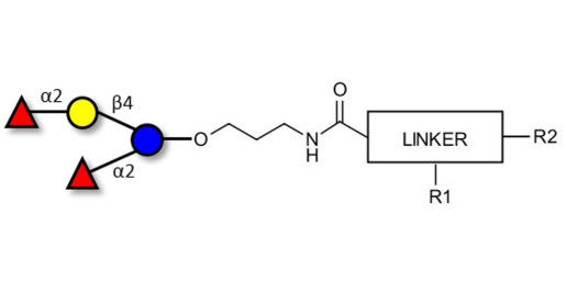 2',2-Difucosyllactose with customizable dual functionalization  - 2',2-DFL