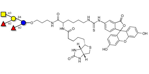 Fucosyl A antigen pentaose type 6 linked to biotin and fluorescein (Linker-BT-FLUO A)