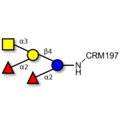 Fucosyl A antigen pentaose type 6 grafted on CRM197