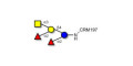 Fucosyl A antigen pentaose type 6 grafted on CRM197