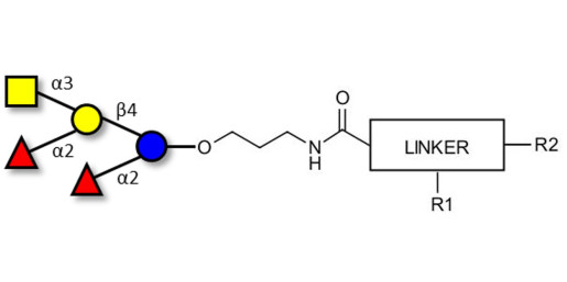 Fucosyl A antigen pentaose type 6 with customizable dual functionalization 