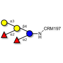 Fucosyl B antigen pentaose type 6 grafted on CRM197
