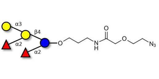 Fucosyl B antigen pentaose type 6 with terminal azide (Linker-N3 B)