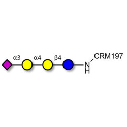 Sialylated globotriose grafted on CRM197