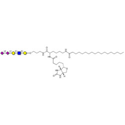 Disialylated pentaose type 1 linked to biotin and stearic chain (Linker-BT-STEA A)