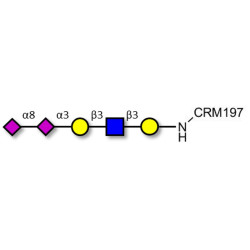 Disialylated pentaose type 1 grafted on CRM197