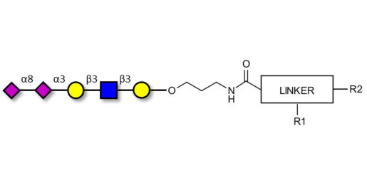 Disialylated pentaose type 1 with customizable dual functionalization 