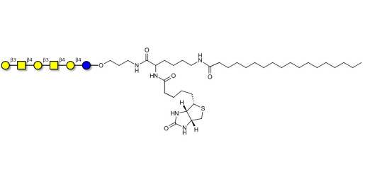 GalGalNAc-asialo GM1 Ganglioside oligosaccharide linked to biotin and stearic chain (Linker-BT-STEA A) - GalGalNac-aGM1