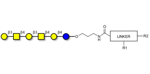 GalGalNAc-asialo GM1 Ganglioside oligosaccharide with customizable dual functionalization  - GalGalNac-aGM1
