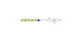GalGalNAc-asialo GM1 Ganglioside oligosaccharide with customizable dual functionalization  - GalGalNac-aGM1