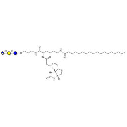 Glucuronyl-lactose linked to biotin and stearic chain (Linker-BT-STEA A)