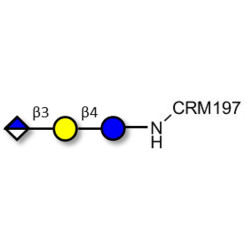 Glucuronyl-lactose grafted on CRM197