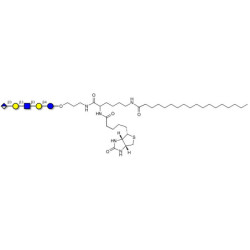 Glucuronyl-Lacto-N-tetraose linked to biotin and stearic chain (Linker-BT-STEA A)