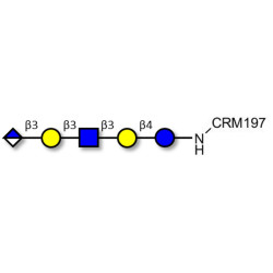Glucuronyl-Lacto-N-tetraose grafted on CRM197