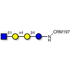 Globotetraose (Gb4) analogue grafted on CRM197