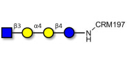 Globotetraose (Gb4)...