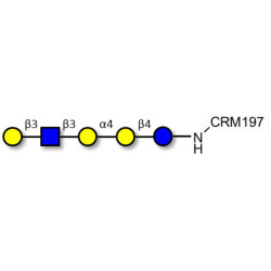 Globopentaose (Gb5) analogue type 1 grafted on CRM197