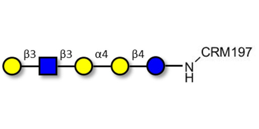 Globopentaose (Gb5) analogue type 1 grafted on CRM197 - Gb5 analogue type 1
