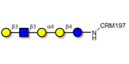 Globopentaose (Gb5)...