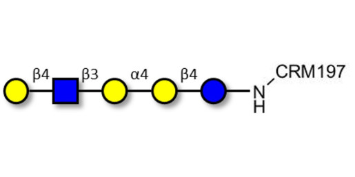 Globopentaose (Gb5) analogue type 2 grafted on CRM197 - Gb5 analogue type 2