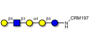 Globopentaose (Gb5)...