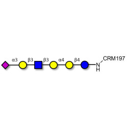 Stage-Specific Embryonic Antigen-4 (SSEA-4) hexaose analogue type 1 grafted on CRM197